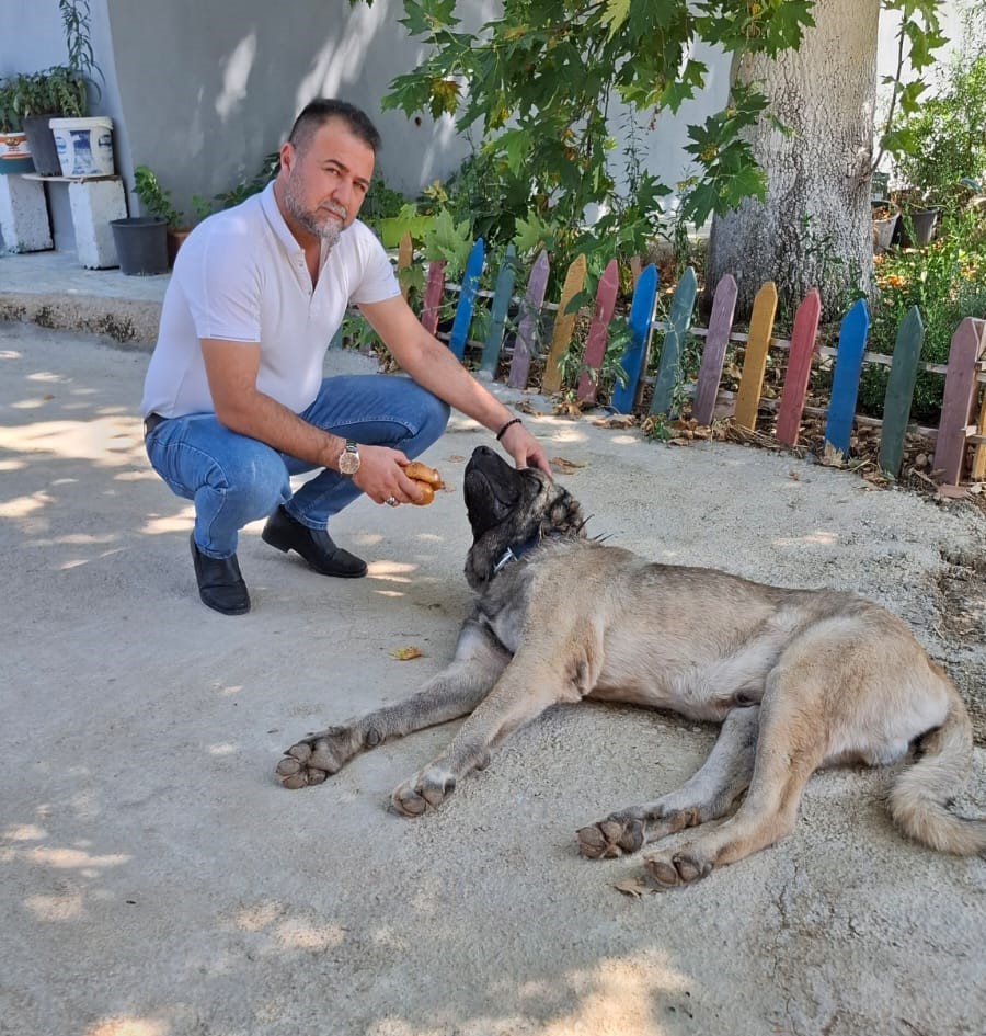 Canı Pahasına Korudu (1)
