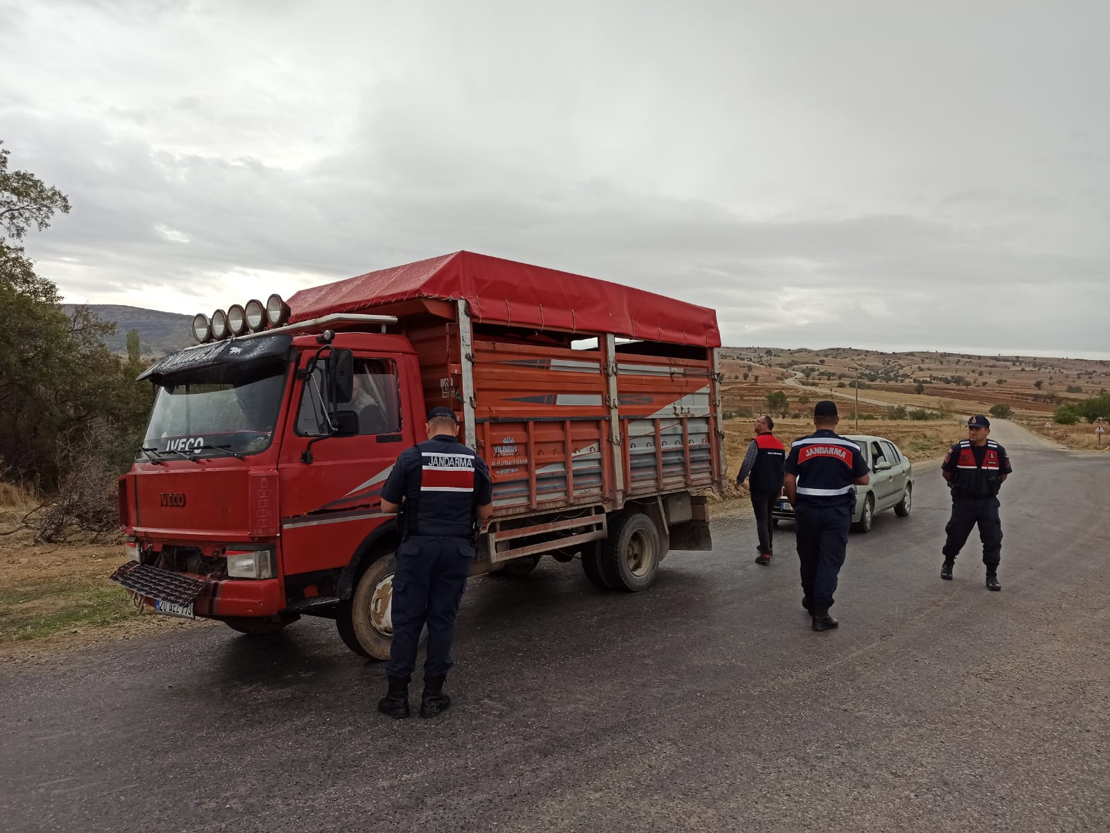 Çivril Hayvan Haraketliliği (2)