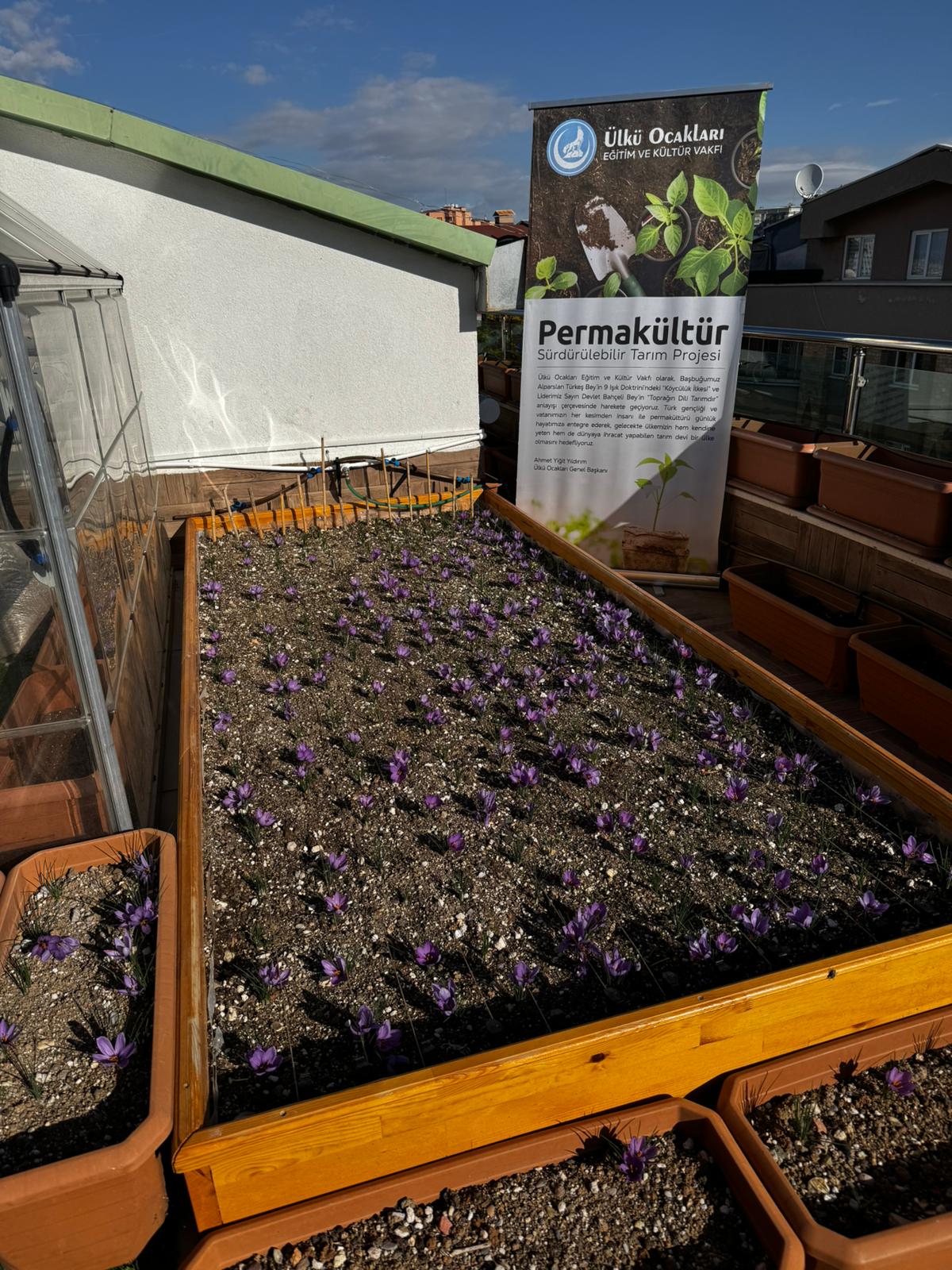 Whatsapp Image 2025 10 31 At 17.36.03 (1)