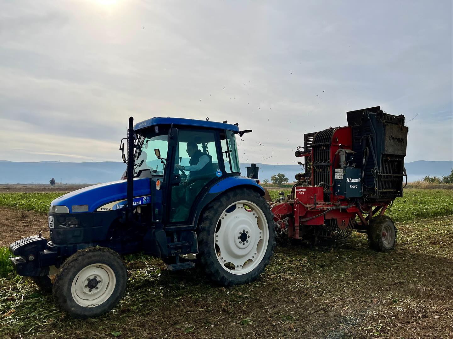 Çivril Pancra Hasadı (2)