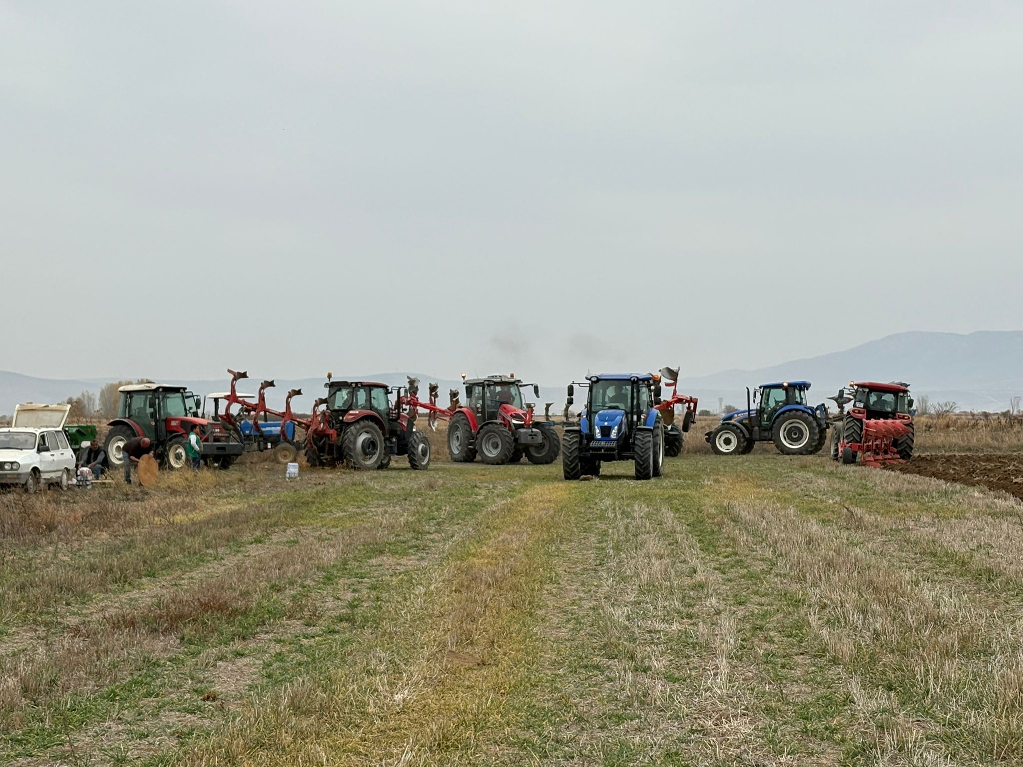 Yamanalr Imece Tarla (1)-1