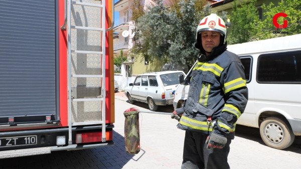 Çivril De Evde Yılan Korkuttu (2)