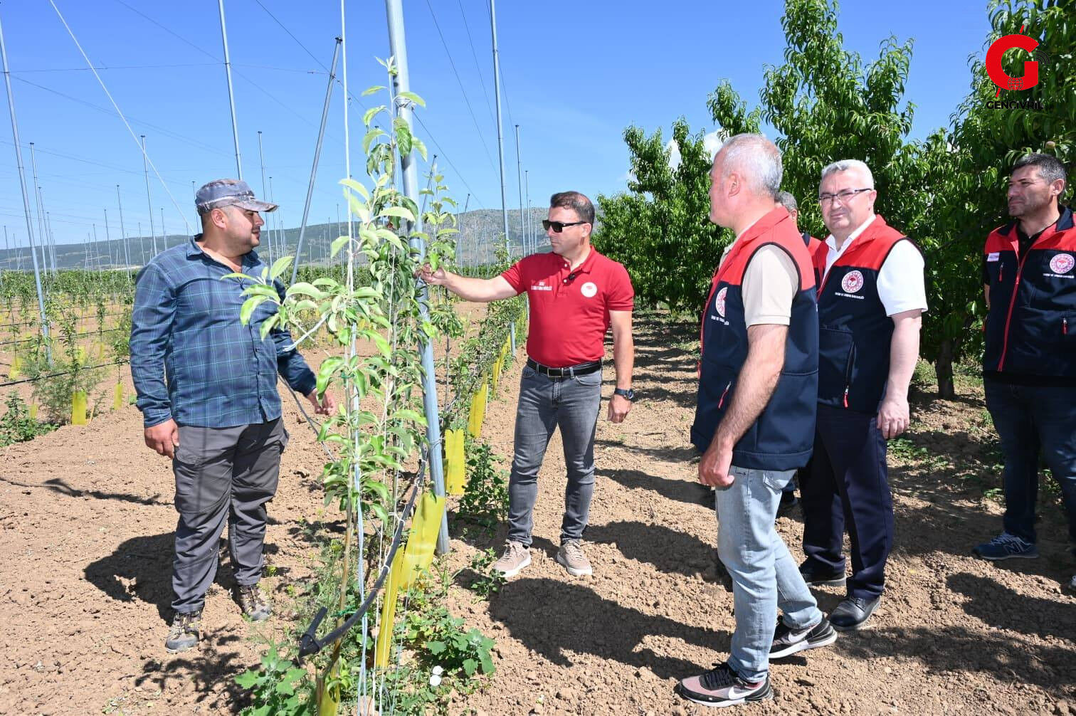 Ilçe Tarım Şeftali Kontrol (1)