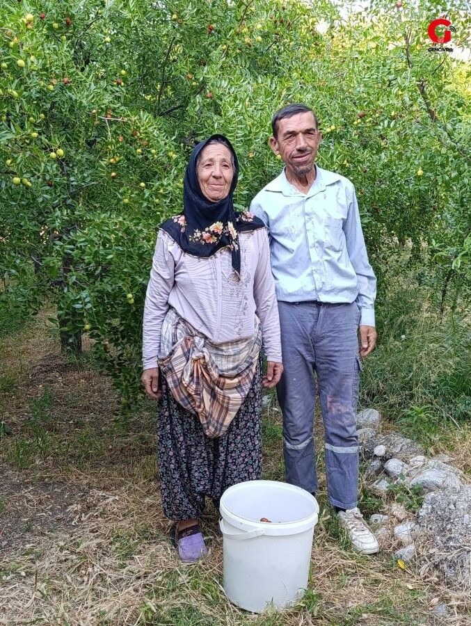 Çivril Hünnap Hasadı