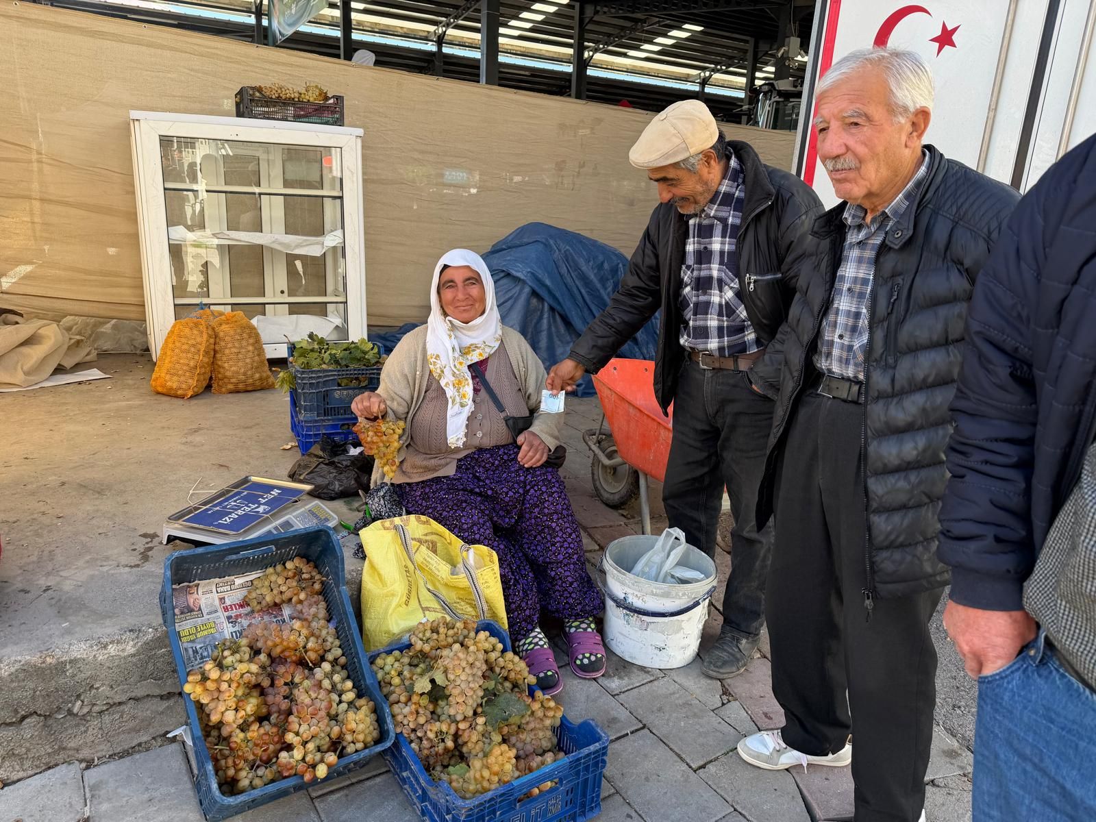 Koçak Üzümü